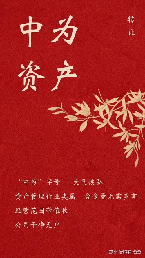 自有资金投资与资产管理 稳健前行的策略与实践